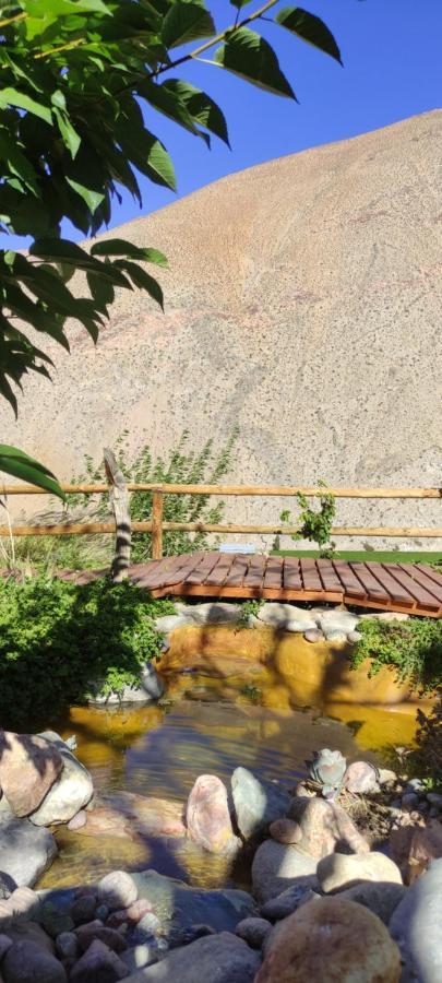Casa Jardin De Hadas Con Vista Panoramica 皮斯科艾齐 外观 照片
