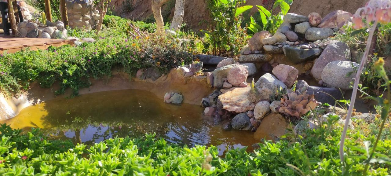 Casa Jardin De Hadas Con Vista Panoramica 皮斯科艾齐 外观 照片