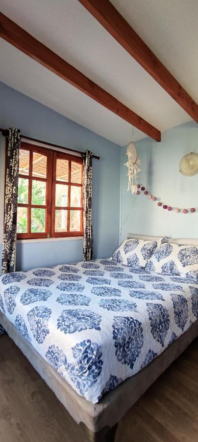 Casa Jardin De Hadas Con Vista Panoramica 皮斯科艾齐 外观 照片
